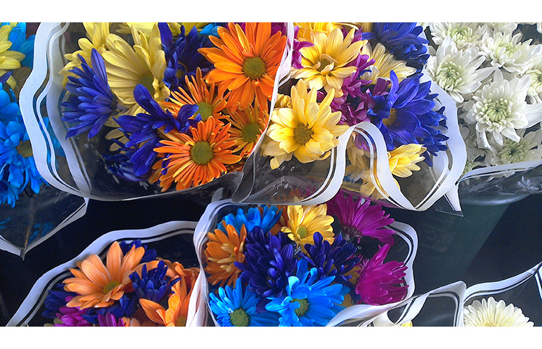 بررسی تخصصی تبلت Dell Venue 11 Pro 19 dell-venue-flowers1