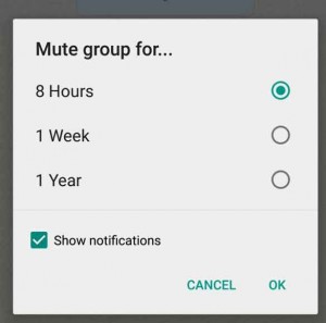 10 ترفند در واتس اپ که همه باید بدانند "حتما بخوانید" 9 whatsapp_mute_chat